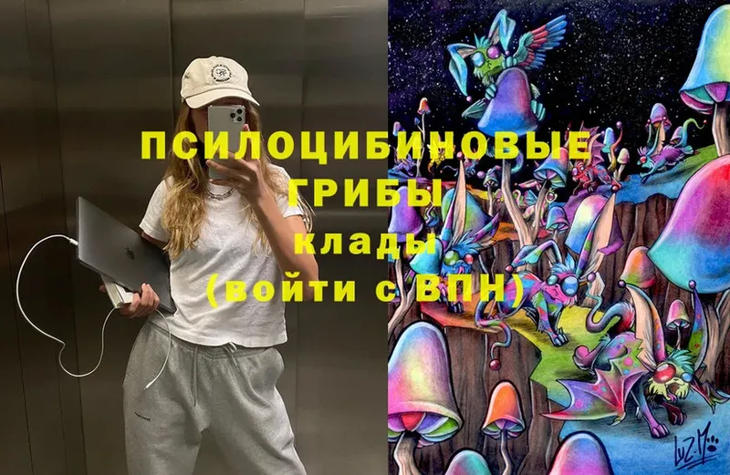 Галлюциногенные грибы MAGIC MUSHROOMS  магазин    Хотьково 